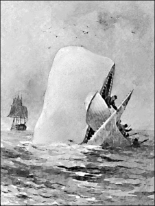 Moby_Dick_2