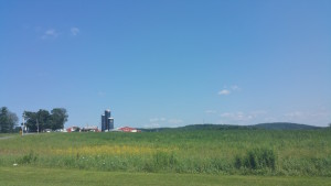 The countryside of Dryden, NY -- about half way between Cortland and Ithaca.